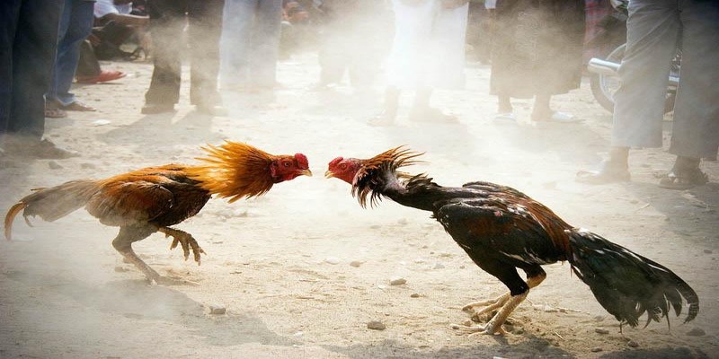 Công Nghệ Và An Toàn Trong Trải Nghiệm