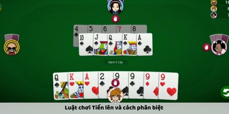 Luật chơi tiến lên đếm lá luôn thắng